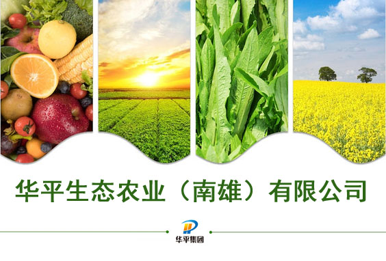 冠军国际CMP生態農(nong) 業(ye) （南雄）有限公司2.jpg